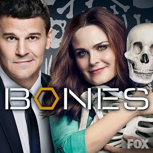 Bones: Season 10 Episode 2 Camille's Black & Blue Dress