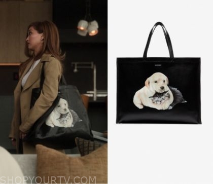 balenciaga dog and cat bag