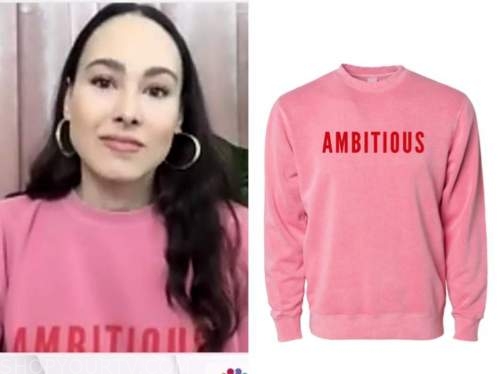 Ambitious sweatshirt top meena