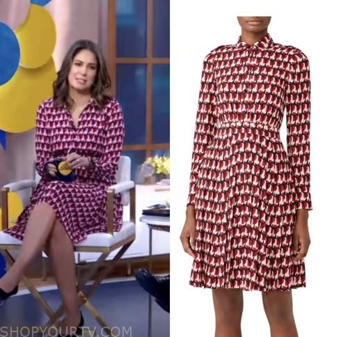 Good Morning America, Cecilia Vega, pink printed shirt dress