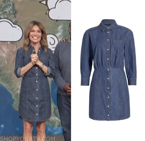 access daily, denim shirt dress, kit hoover