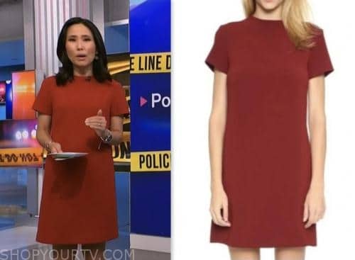 vicky nguyen, nbc news daily, red shift dress