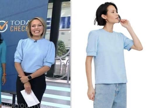 dylan dreyer, the today show, blue puff sleeve top
