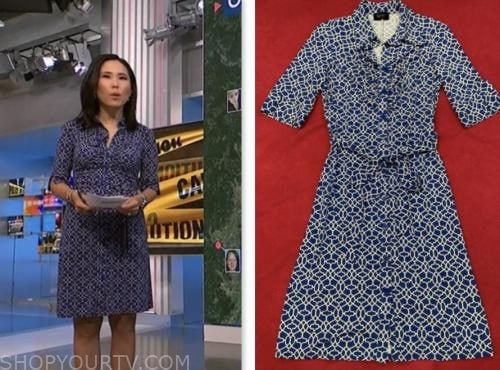 vicky nguyen, nbc news daily, blue printed shirt dress