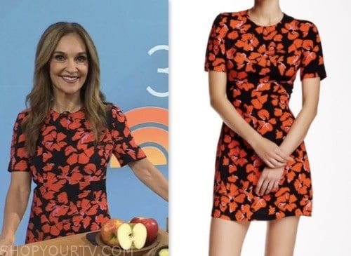 joy bauer, the today show, black and red floral mini dress