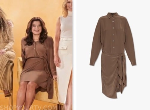 ana navarro, the view, brown satin wrap shirt dress