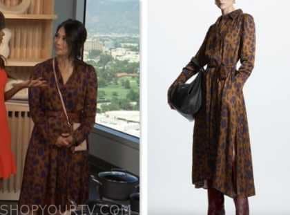 DIANE MIZOTA, access daily, brown leopard shirt dress