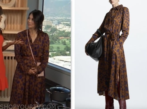 DIANE MIZOTA, access daily, brown leopard shirt dress