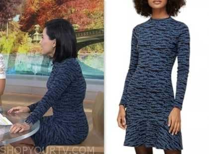 vicky nguyen, blue animal print dress, the today show