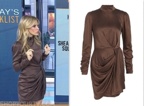 DR. MARNIE NUSSBAUM, the today show, brown satin mock neck mini dress