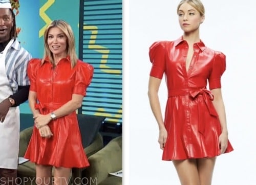 access daily, red leather shirt dress, kit hoover