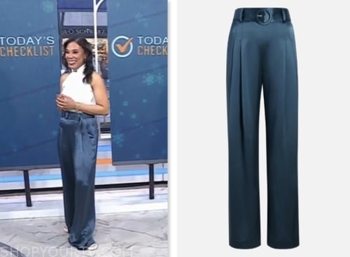 The Today Show: December 2023 Vanessa Rissetto's Blue Satin Belted ...